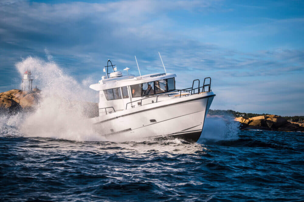 Sargo 33